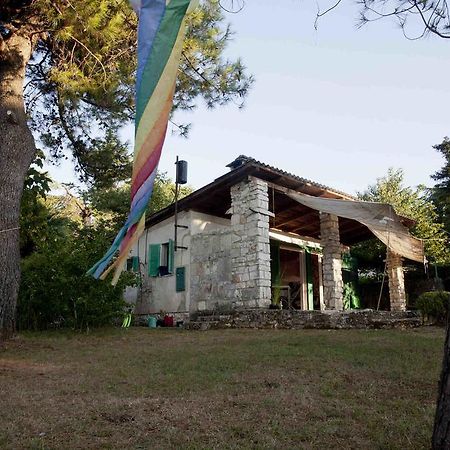 Holiday Home Dajla 35 Novigrad  Ngoại thất bức ảnh